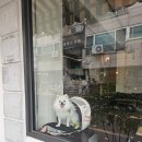 널독(NERDOG) 이미지