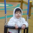 애기똥풀 어린이집 이미지