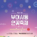 7월15일(당일) 부여서동연꽃축제,보령무궁화수목원,대천해수욕장,백제세계유산축전,궁남지(마감) 이미지