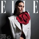 종합란제리 이미지