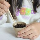 친환경 화분 만들기 이미지