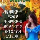 베트남 다낭 여행ㅡ 바나산 1487mㅡ 바니힐 황금 브릿지ㅡ 비내리는 바나힐 ㅡ 망처버린 황금 브릿지 다리 ㅡ 다낭 미케비치 해변ㅡ 이미지