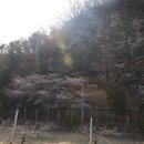 문화마을길-1 이미지