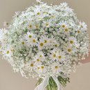 에덴꽃화원 이미지