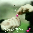 월산마을4단지부영아파트(411~416)[장유19차] | 장유동에 있는 다양한 아파트들 몇세대나 될까요?