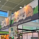 주식회사 위드코리아 | 코엑스 푸드위크코리아 C홀 이색푸드존 푸드테크관 관람후기