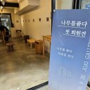 나무를품다