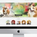디자인35 이미지