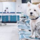 미소메디컬센터 이미지