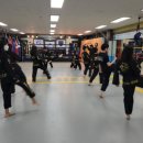 완월동243 이미지