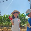 삼희어린이집 이미지