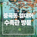 간판브라더스 | 중곡동 열대어 수족관 피셔맨 브라더스 다녀온 후기