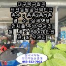 팔공호프 이미지