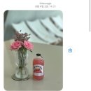 마레아풀빌라 | 경주 가족여행 불국사 독채 펜션 [ 마레아 풀빌라 ]