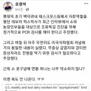 [건강이슈] 오샘. 조류독감 진단위해 소와 인부 정기적 PCR 검사? 이미지