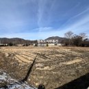 보천농장 이미지