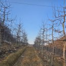 농소면 행복문화복지센터 영농조합법인 | 농촌의 단체들