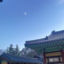 [평창/월정사] 강원도 월정사 템플스테이 1박 2일 후기 2탄(월정사 카페 &#39;난다나&#39;, 준비물, 서울행 버스...