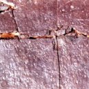 진주 가진리 새발자국과 공룡발자국 화석산지 이미지