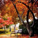 Omar Akram 오마 아크람 ④ - Always Be My Home. Since I Met You. etc 10곡 이미지
