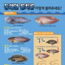 항구동식당 이미지