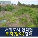 서광리-19 네이버블로그