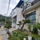 (주)신갈승마클럽 이미지