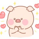 카메카츠 이미지