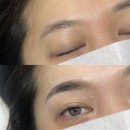꼼꼬미 | 성수동눈썹문신 꼼꼬미브로우 눈썹문신 솔직 후기! (자연눈썹 대만족)