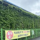 수원, 점심특선 장어 정식 내돈내산 솔직후기 [유정장어]