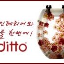 디토인테리어 이미지