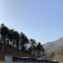 투머치목장 이미지