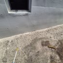 신창농장 이미지