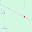 포레스트(forest) 이미지