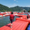 ㈜코비 | 우리아이 영양튼튼 개학선물로 준비한 세노비스 키즈 히어로 삼총사! 한정판 코비 굿즈까지 챙겨주기!