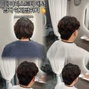 샵디어리스트