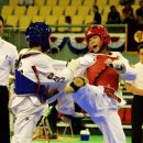 율곡태권도체육관 이미지