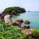 신안산대 이미지