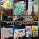 문구프라자 | 부산대 지성문구프라자 고무찰흙25색 색종이 피노키오애니지점토 스노우지점토 독수리인형키링 등 구매후기