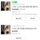 천안 캠핑용품점 &#39;캠프스토어&#39;와 &#39;고릴라캠핑&#39;