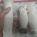 복찌짐