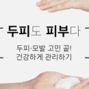 에스에이서울 이미지