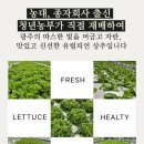 광채농장 이미지