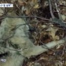 화들짝