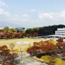 소풍텔레콤 이미지