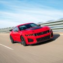 다크호스 이미지