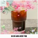 속초시 애견카페 설담 가격 및 후기 추천 리뷰 주차 예약 알아볼까요
