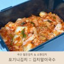포그니김치 :: 국산 썰은김치 1kg 소량김치로 김치말이국수 만들어먹었어요.