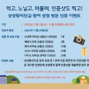나니상점