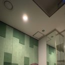 밸런스요가(야) | 20260322(일)_하타 수련일지